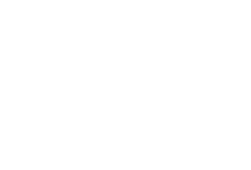 Denario SpA - Servicios integrales 